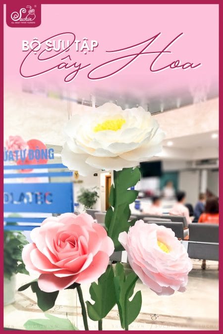 Bộ sưu tập cây hoa