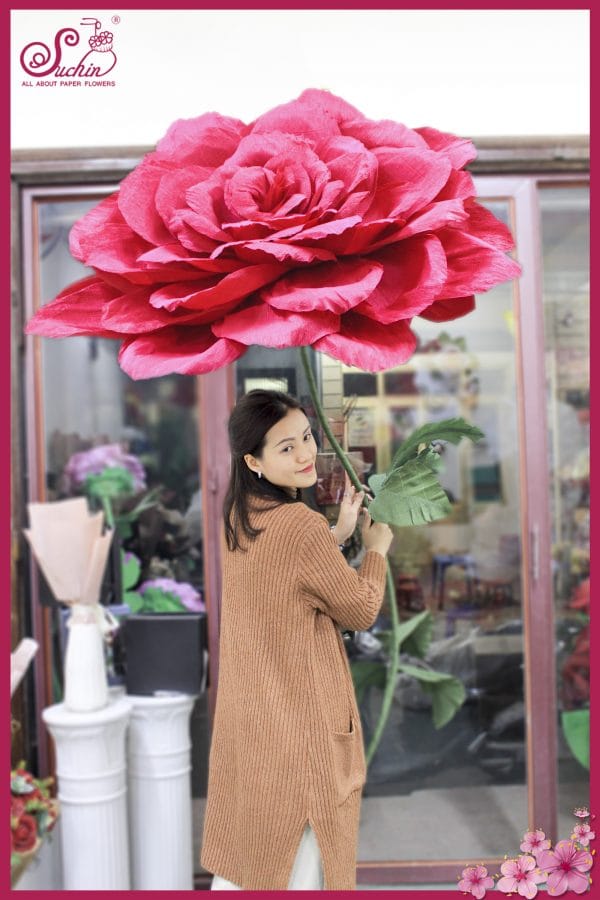 Cây hoa giấy nhún khổng lồ