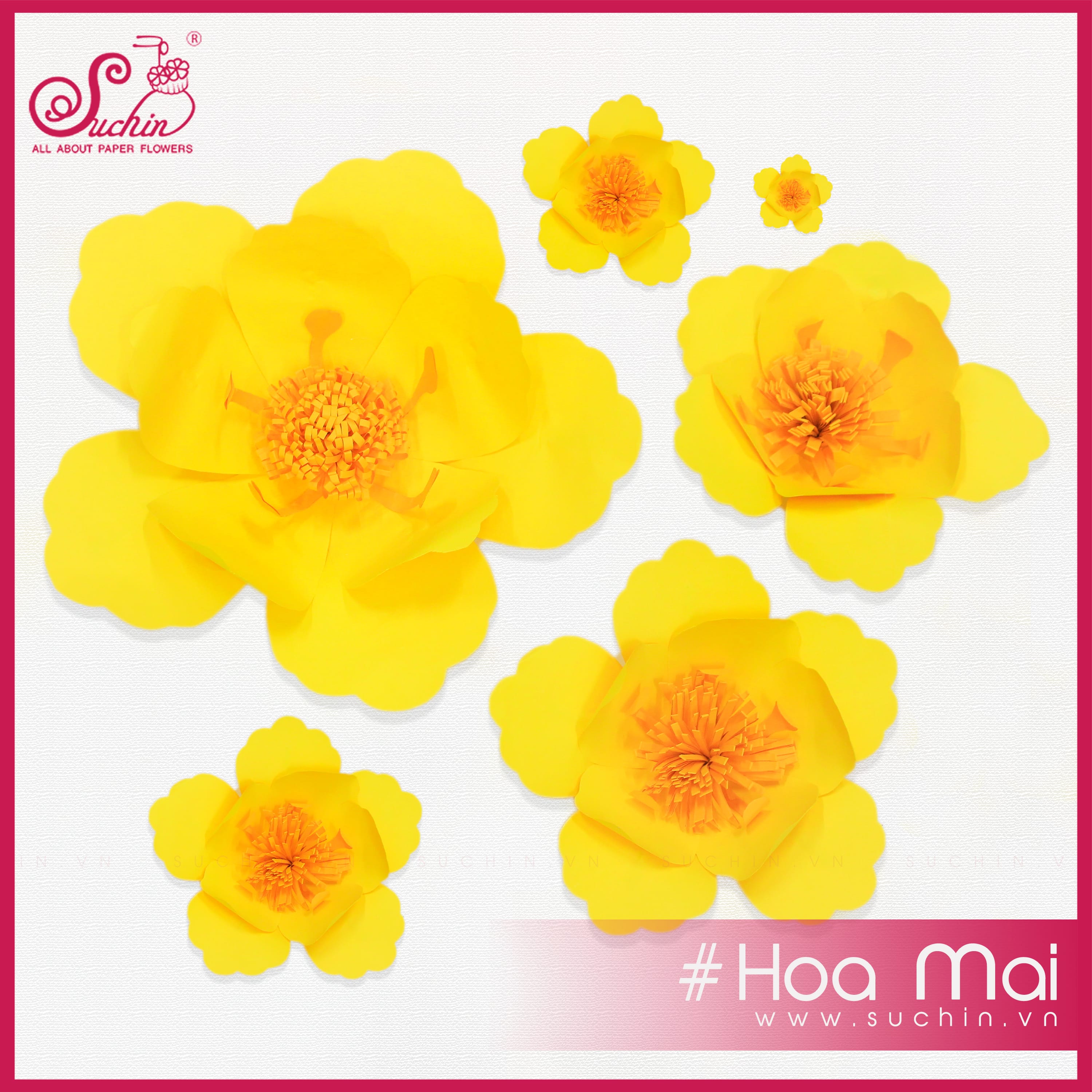 Hoa mai giấy mỹ thuật