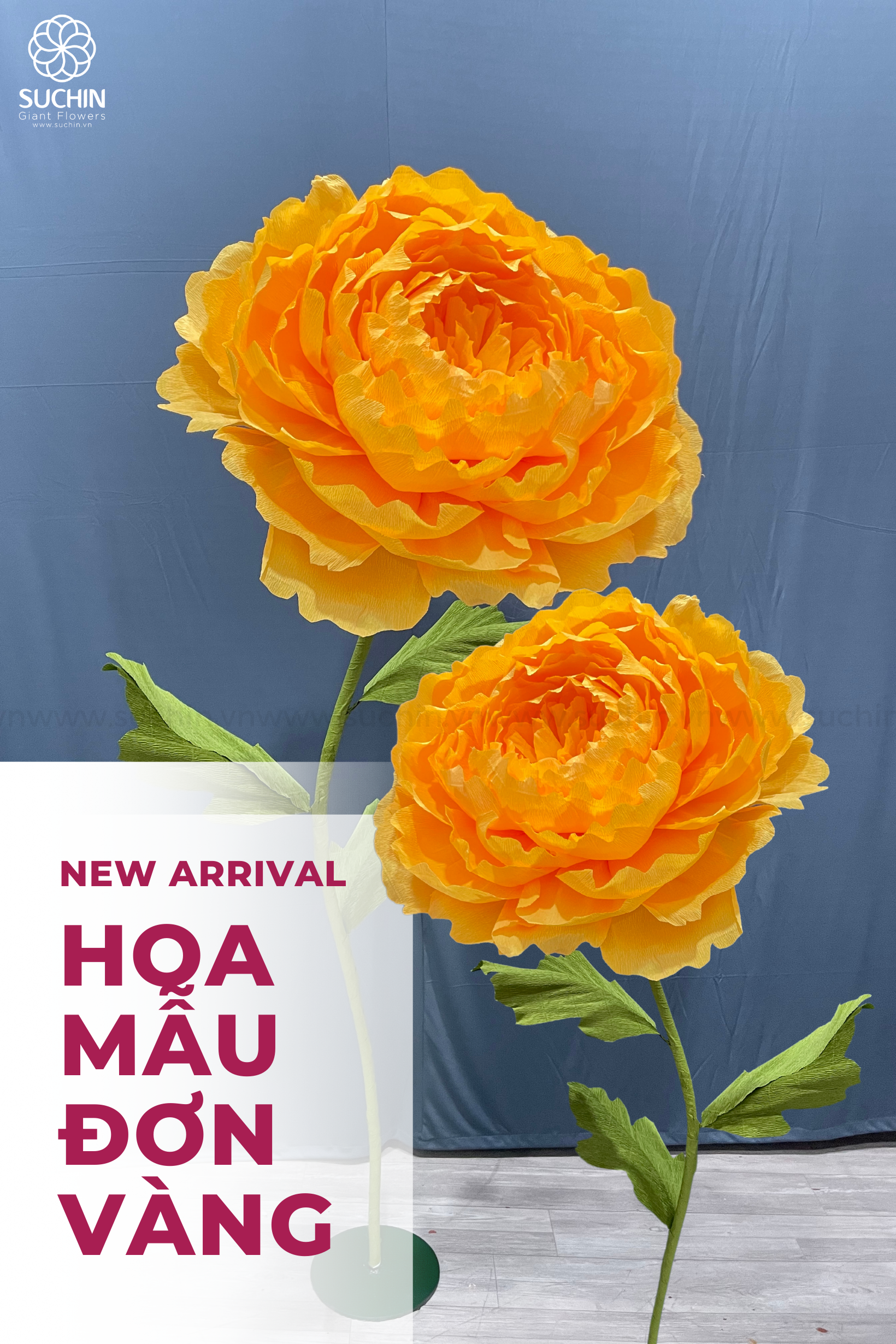HOA MẪU ĐƠN VÀNG KHỔNG LỒ