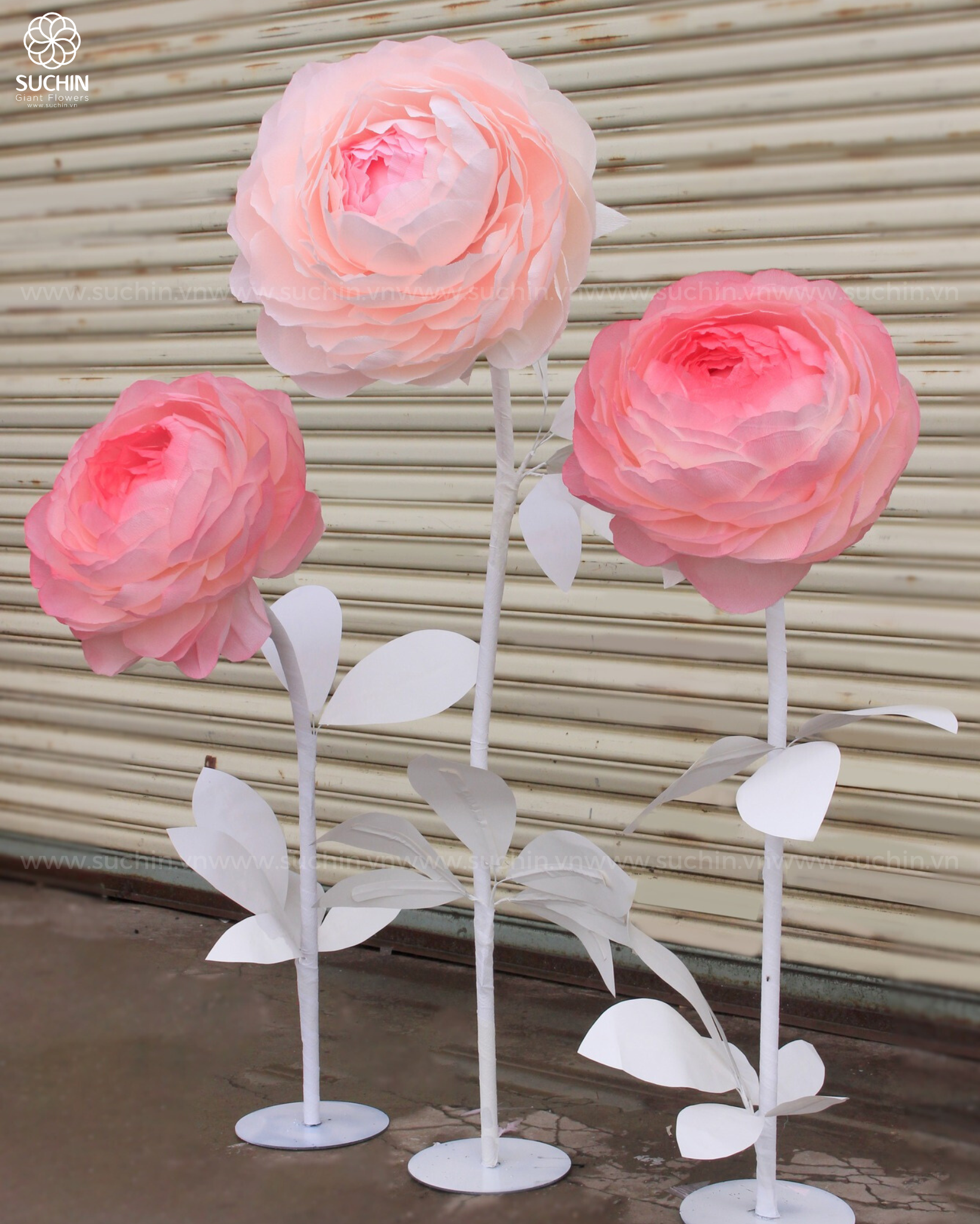 HOA MẪU ĐƠN KHỔNG LỒ DECOR 20/10